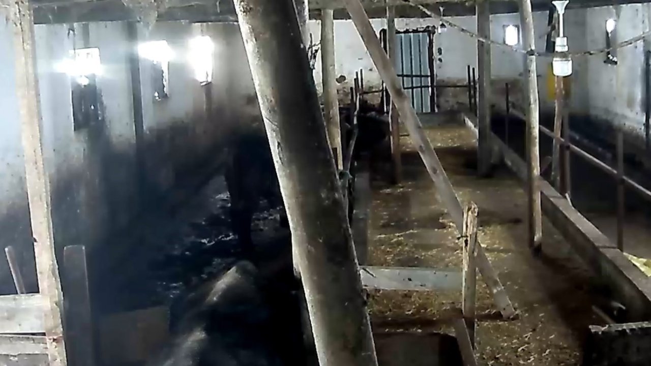 Tokat’ta ahırın çatısı çöktü