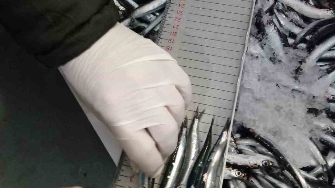 Trabzon’da 2025 yılında su ürünleri denetimlerinde 43 kişiye 3,2 milyon TL para cezası