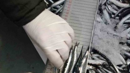 Trabzon’da 2025 yılında su ürünleri denetimlerinde 43 kişiye 3,2 milyon TL para cezası