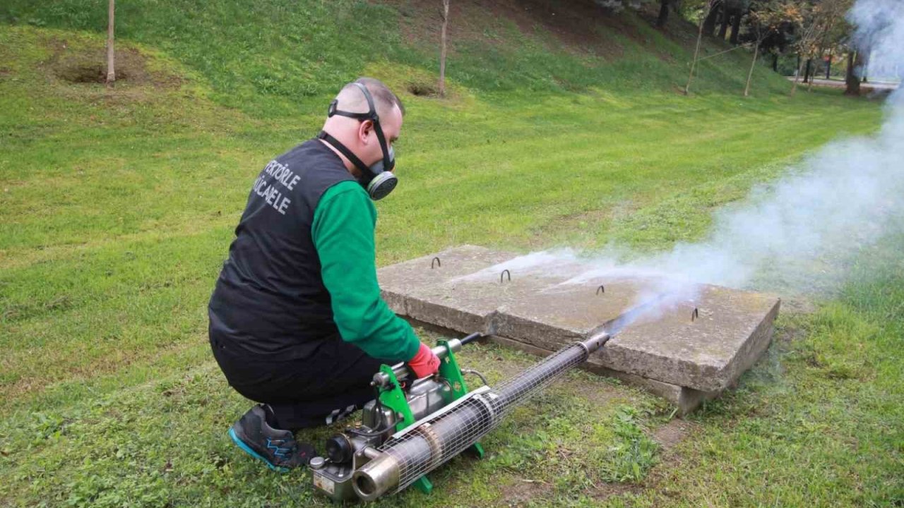 Vektörle mücadele kapsamında 24 milyon metrekare alan ilaçlandı