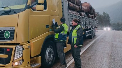 Yüklü araçlar tek tek kontrol edildi