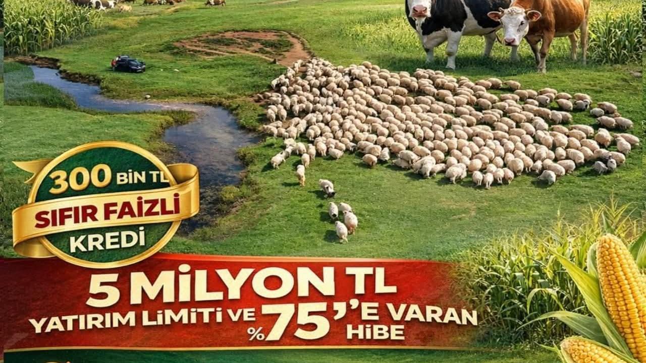 2026 Hayvancılık Destekleme Modeli Yürürlükte