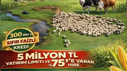 2026 Hayvancılık Destekleme Modeli Yürürlükte