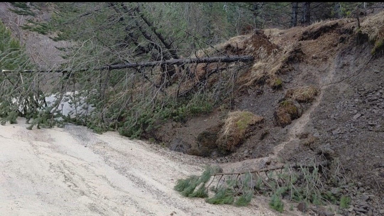 Amasya’da ormanlık alanda heyelan: Ağaçlar devrildi