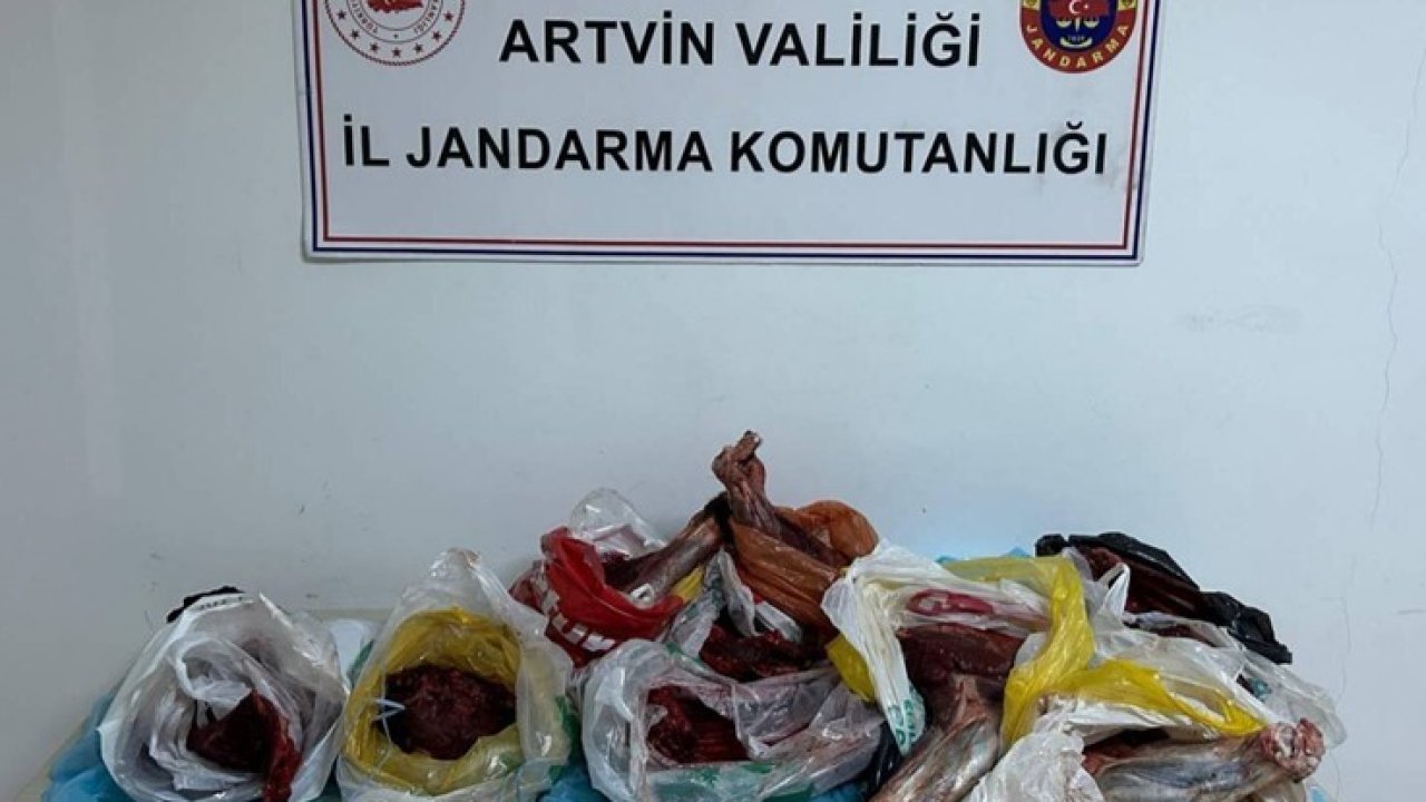 Artvin’de 60 kilo yaban domuzu eti ele geçirildi