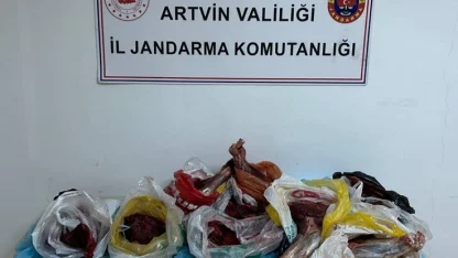 Artvin’de 60 kilo yaban domuzu eti ele geçirildi