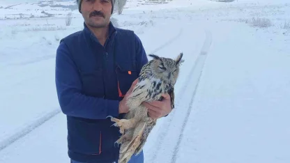 Bayburt’ta duyarlı vatandaşın yaralı halde bulduğu puhu kuduz çıktı