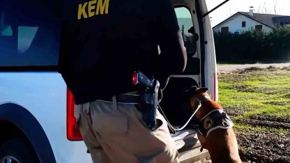 Bolu’da 11 farklı adrese uyuşturucu operasyonu