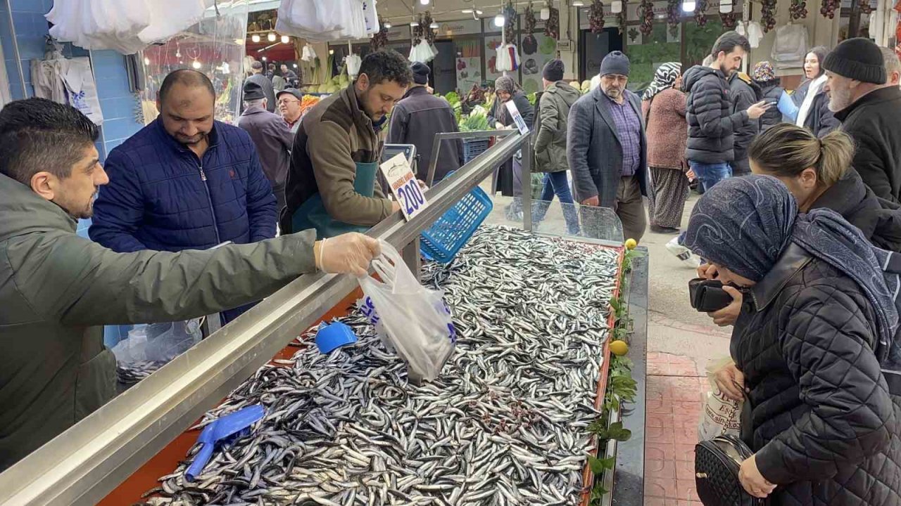 Bolu’da hamsi bolluğu sürüyor: Kilosu 200 liradan rağbet gördü