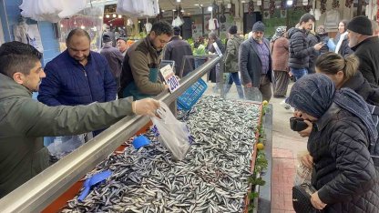 Bolu’da hamsi bolluğu sürüyor: Kilosu 200 liradan rağbet gördü