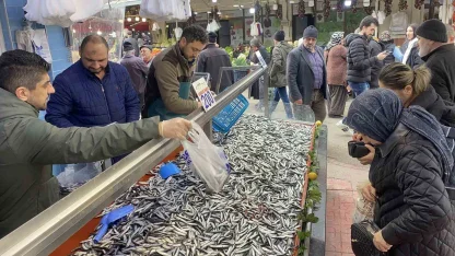 Bolu’da hamsi bolluğu sürüyor: Kilosu 200 liradan rağbet gördü