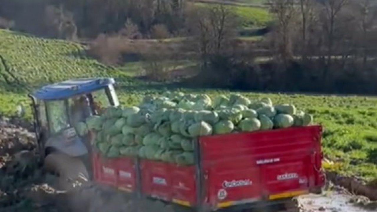 Çiftçinin zor anları