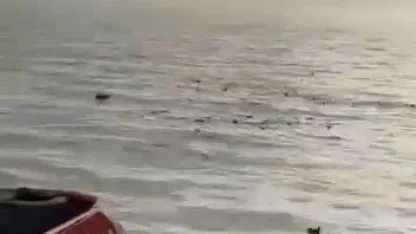 Denizi şehir çöplüğüne çevirdiler