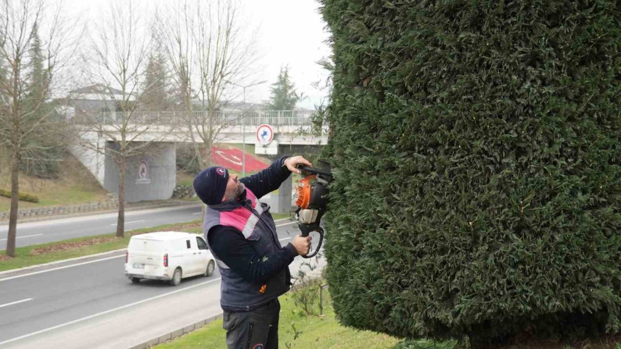 Düzce’de bahar hazırlıkları başladı