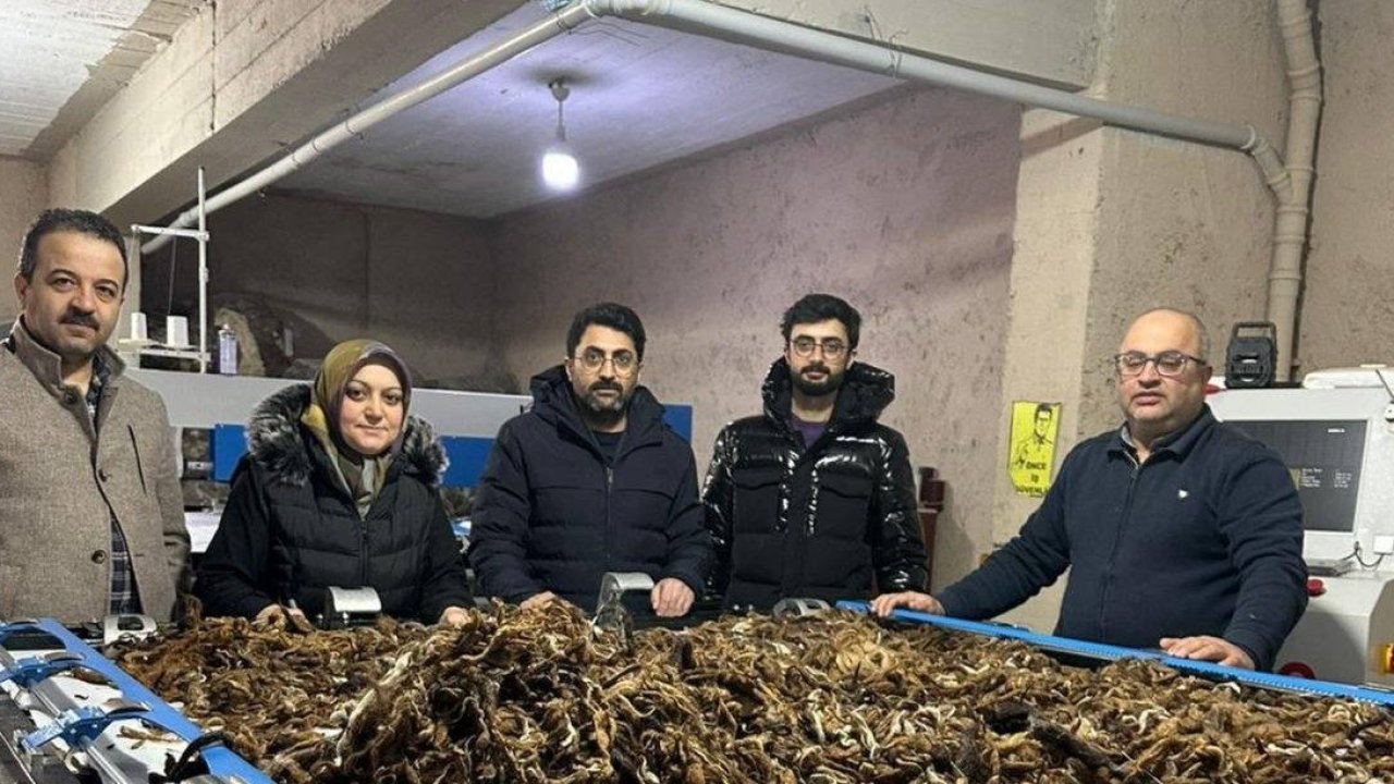 Erzurum’da atık yünler yeşil dönüşümle değer kazanıyor