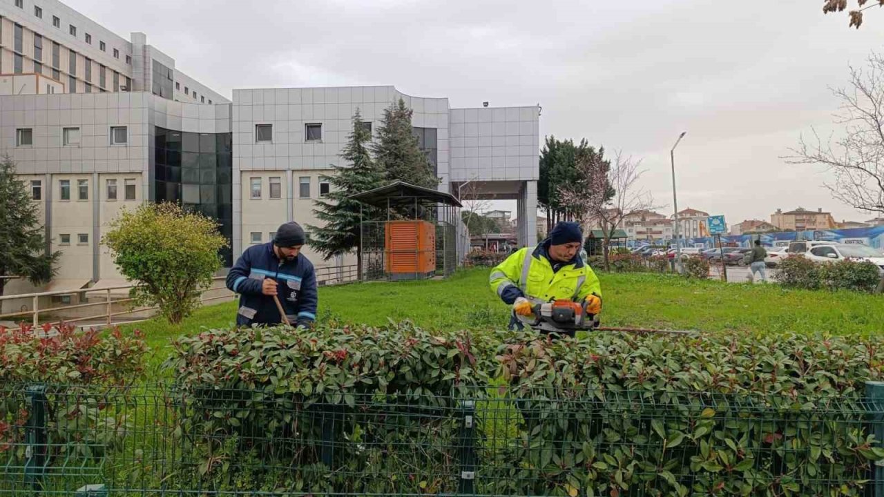 Hastane bahçelerinde budama ve bakım çalışması yapılıyor