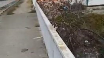 Hopa’da şantiyede çıkan yangın korkuttu