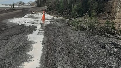 Kastamonu’da heyelanda istinat duvarını aşan ağaçlar yola kadar geldi
