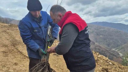 Kestane üretimi arttırılacak