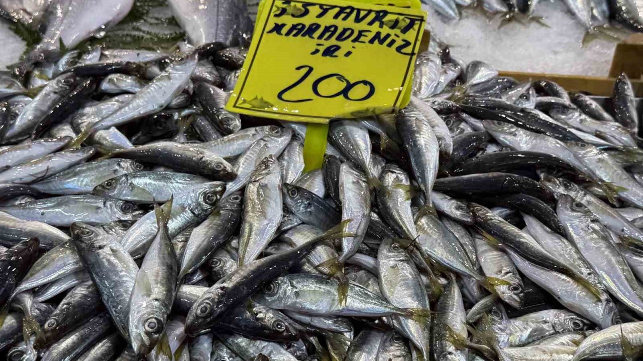 Kocaeli’de balık tezgahlarındaki son durum