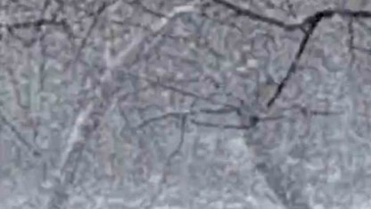 Mudurnu’da lapa lapa kar yağışı etkili oldu