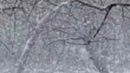 Mudurnu’da lapa lapa kar yağışı etkili oldu