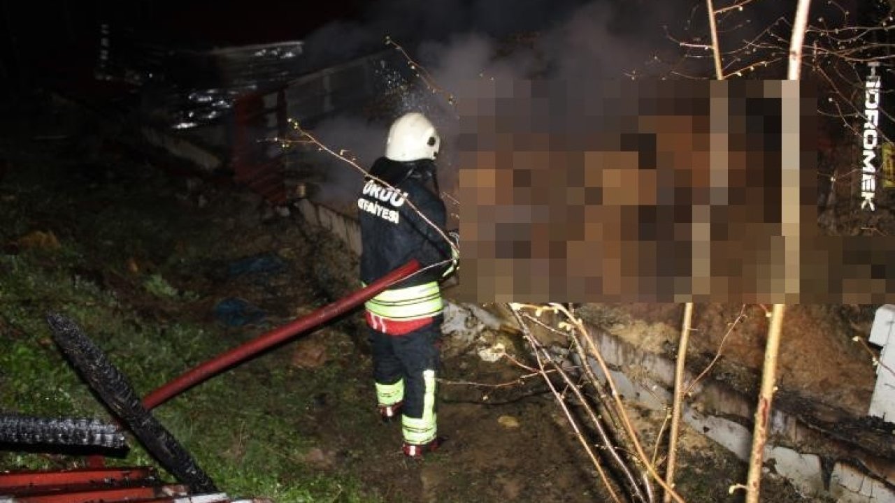 Ordu’da ahır yangını: 27 büyükbaş hayvan telef oldu