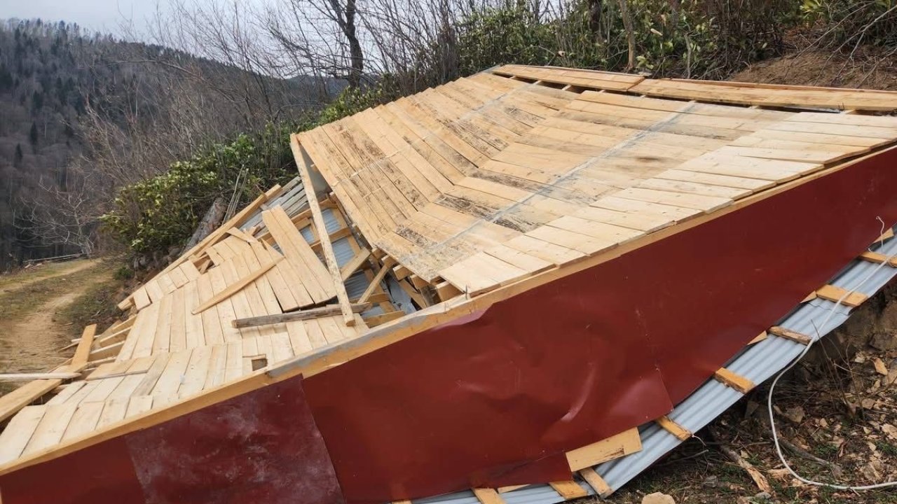 Ordu’da fırtına: Evlerin çatıları uçtu