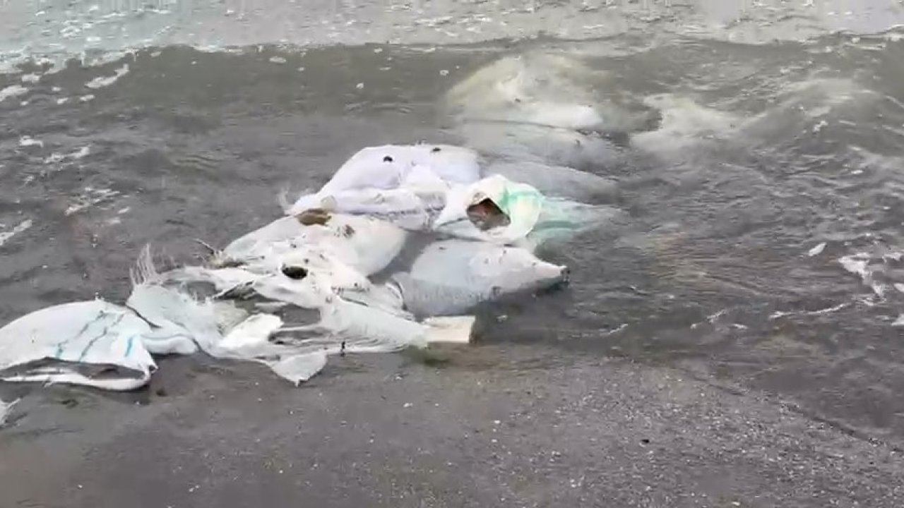 Samsun’da denizde çuvallar içinde inşaat malzemesi bulundu