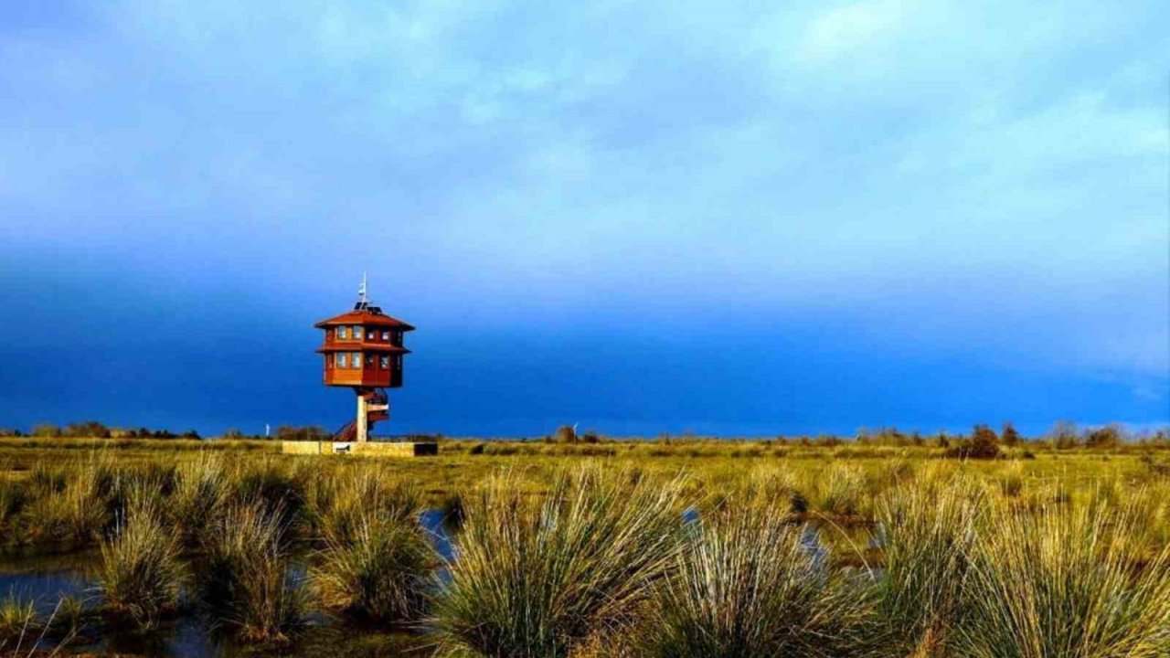 Samsun’da tabiat parklarını 186 bin 271 kişi gezdi