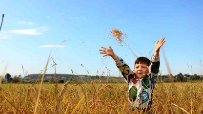 Samsun’da tarımsal üretime 6 milyara yakın destek ödemesi yapıldı