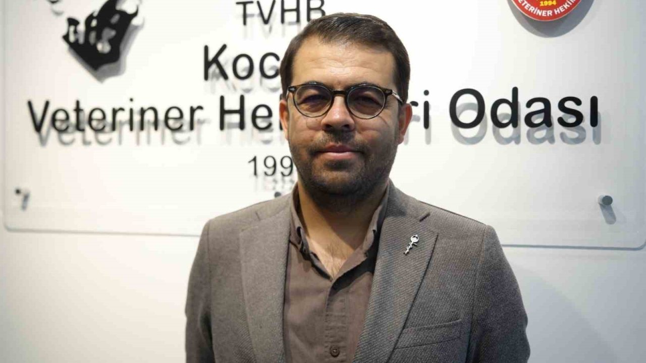 Şap hastalığıyla mücadele aşılama programı başladı