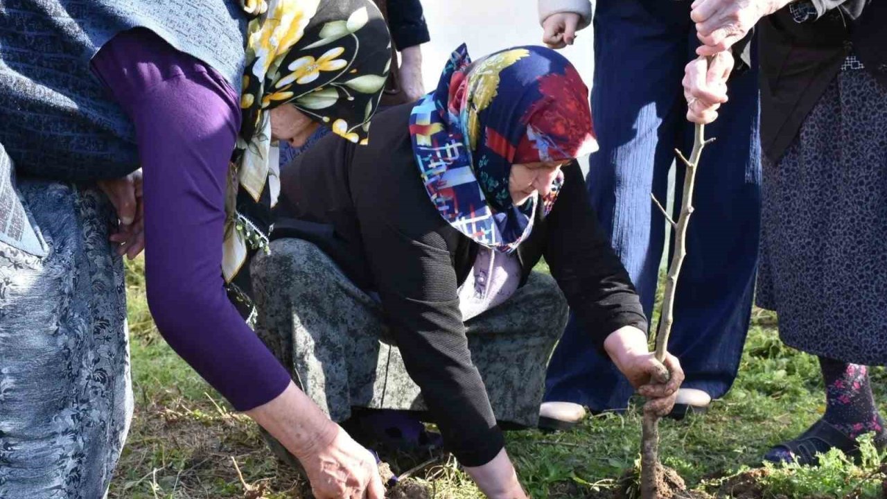 Sinop’ta kuşaklar arası gönül köprüsü fidanlarla kuruldu