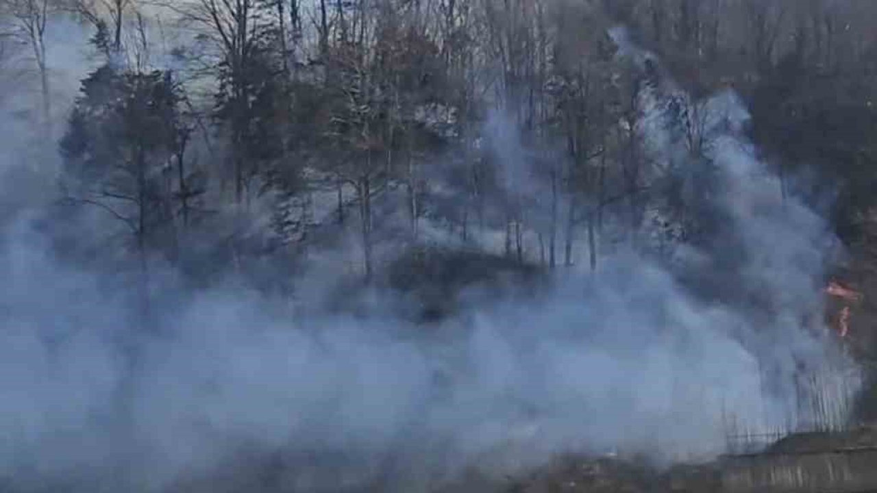 Trabzon’da örtü yangınları