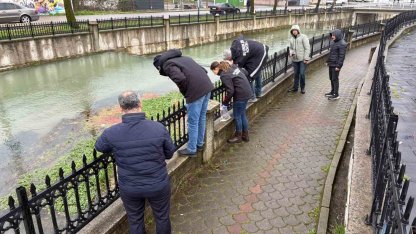 Uludere Çayı’nda binlerce ölü balık bulundu: Ekipler seferber oldu