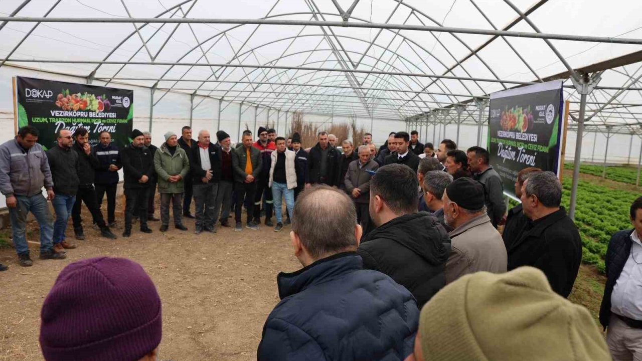 Vezirköprü’de çiftçiye 12 bin 500 meyve fidanı