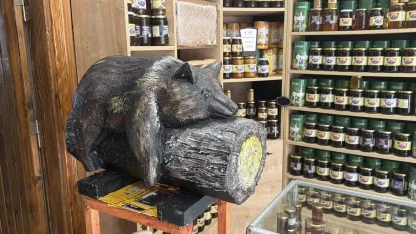 Viral olan ayı, satışları katladı: Balcı dükkanının başköşesine ’bayılan ayı’ dekoru yerleşti