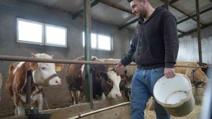 Yem desteği Bayburtlu çiftçinin yüzünü güldürdü: "Bu destek bize iyi geldi"