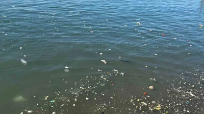 Zonguldak sahilinde çöp tepkisi