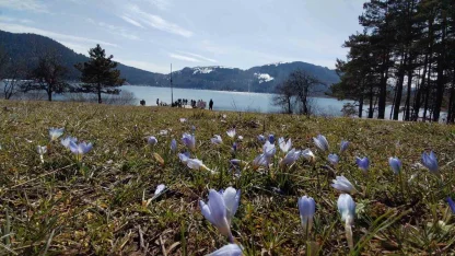 Abant’ta karların ardından bahar manzarası