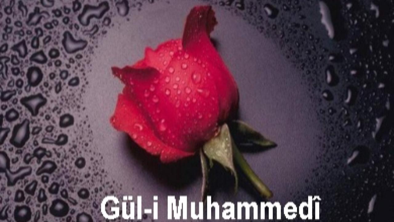 Alemlere Rahmet (SAV) Geliyor