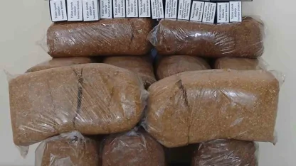 Bafra’da kaçak tütün ve makaron operasyonu