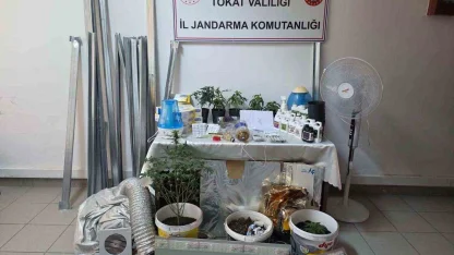 Bilgi notuyla apartman dairesinde uyuşturucu serası kurdular, jandarmadan kaçamadılar