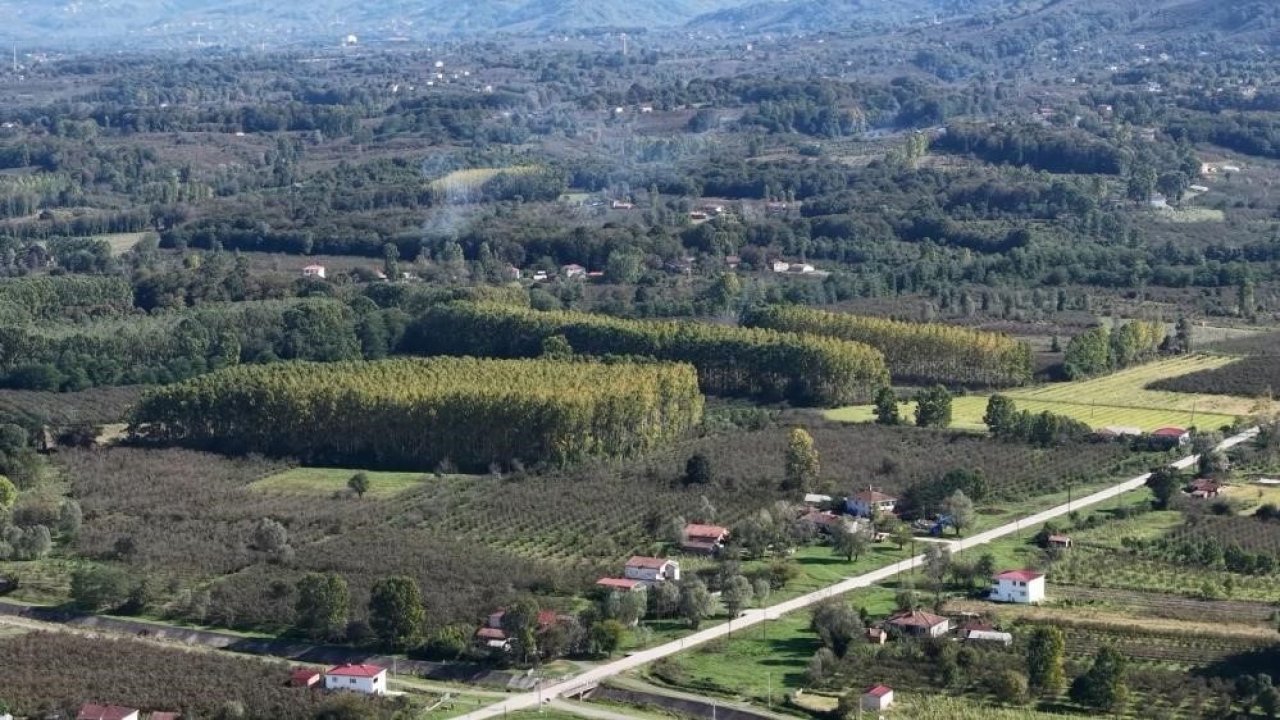 Çarşamba Ovası meyvede zirvede