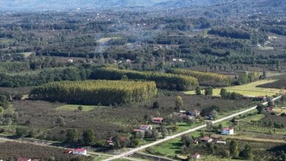 Çarşamba Ovası meyvede zirvede