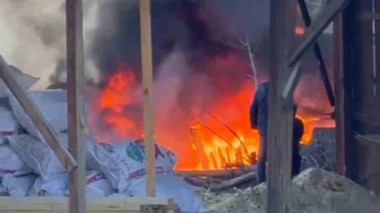 Çöp konteynerlerinde çıkan yangın korkuttu