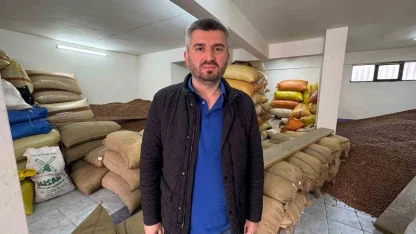 Düşmeye devam eden fındık fiyatını yeni sezon rekoltesi belirleyecek