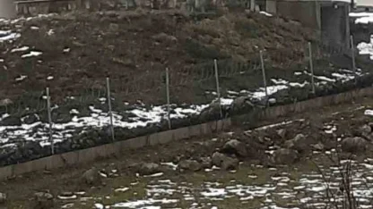 Göç yolculuğundaki leylekler Sakarya’da mola verdi