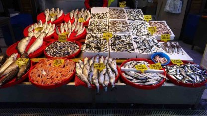 Hamside beklenen son