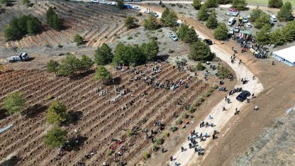 Kastamonu’da 210 bin fidan toprakla buluşturulacak